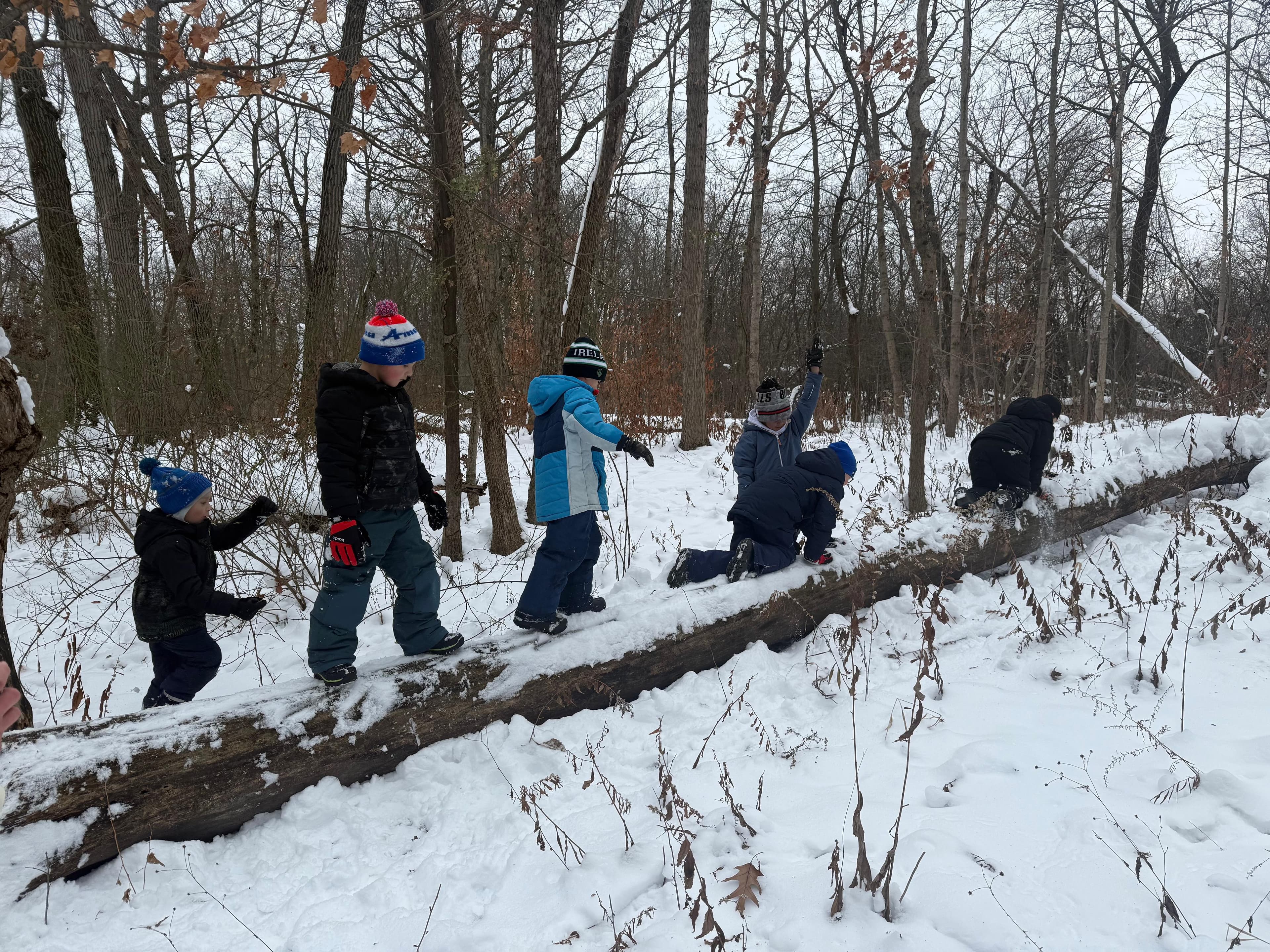 Pack 5 scouts at a pack event